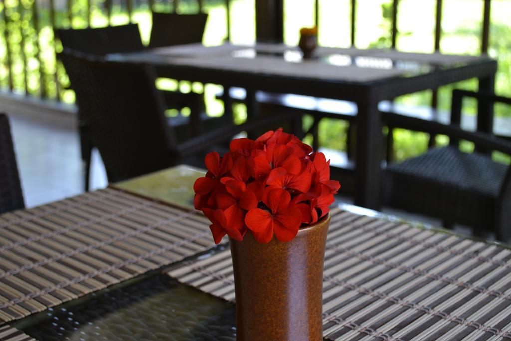 Pensiunea Balea Sat คือร์ตีโชอารา ภายนอก รูปภาพ
